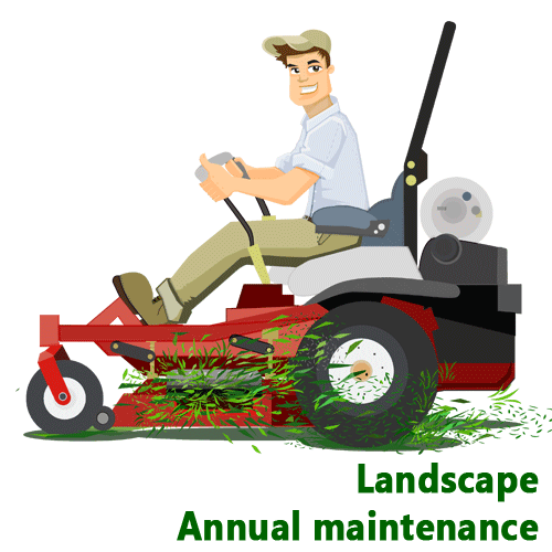 Services